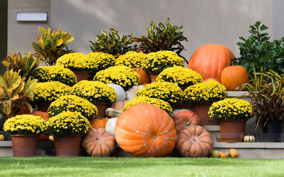 Why Professional Porch Pumpkin Design is the Easiest Way to Celebrate Fall